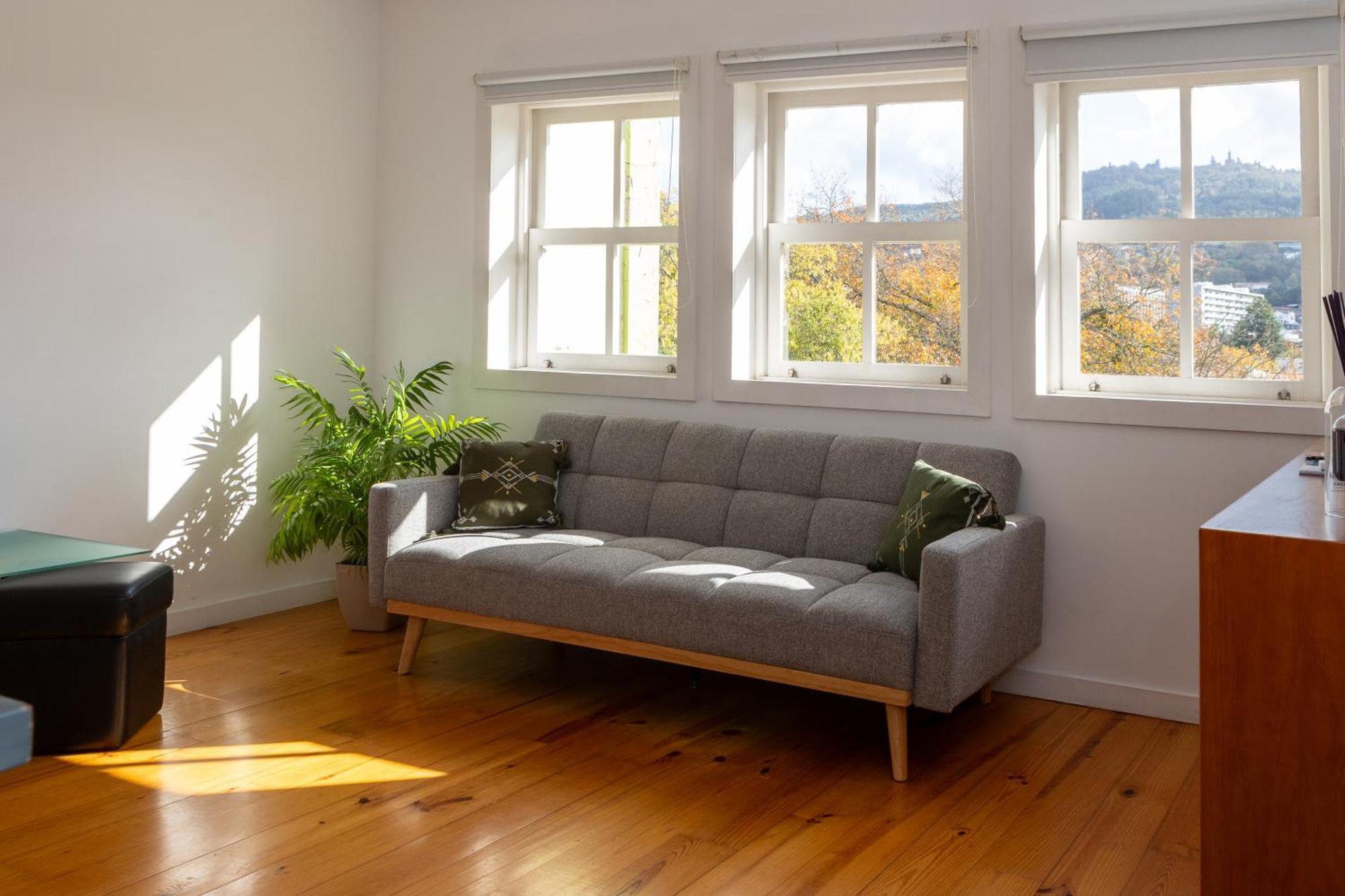 Apartment Moniz Terrace *